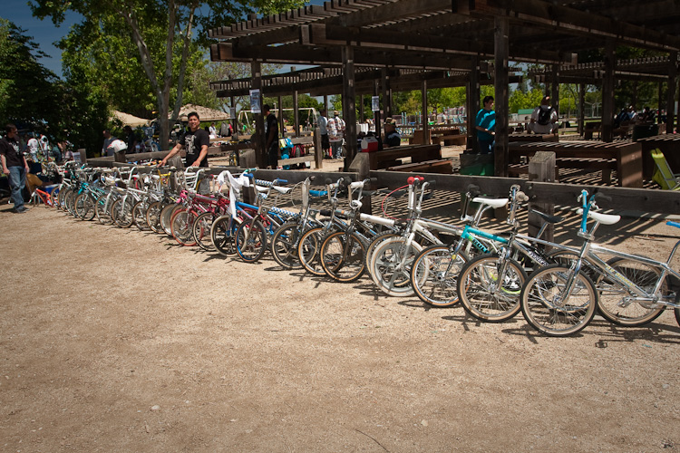 pic osbmxshow-2250