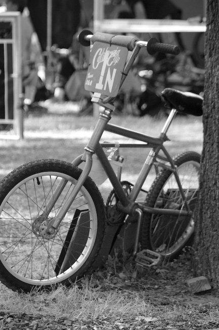 pic vbmx-6188